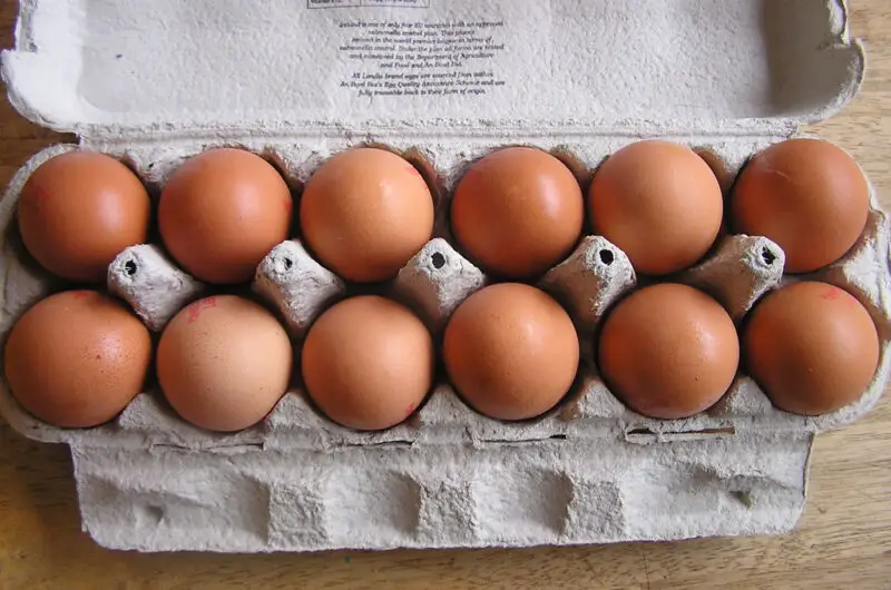 USDA Launches $1 Billion Plan to Tackle the Egg Crisis
