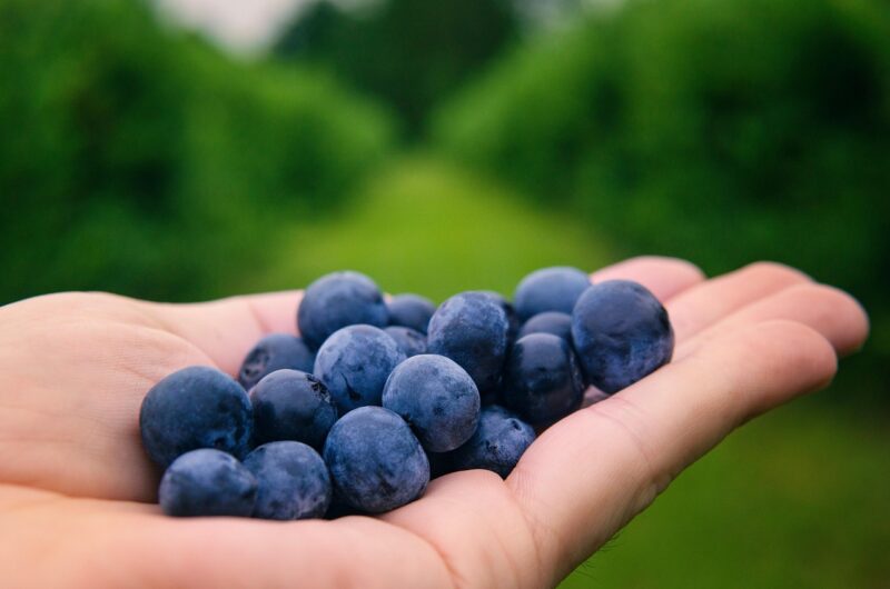 Top 10 Superfoods You Should Be Eating (According to Nutritionists)