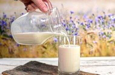 12 Foods That Have Been Banned Around the World (And Why)