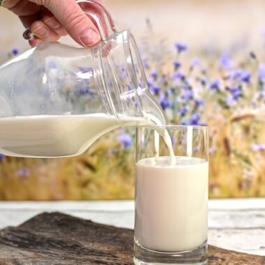 12 Foods That Have Been Banned Around the World (And Why)