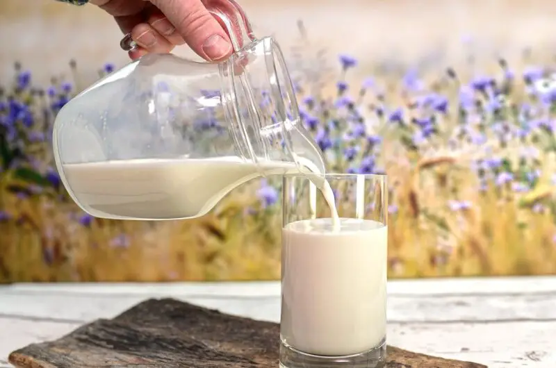 12 Foods That Have Been Banned Around the World (And Why)