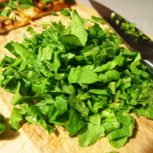 Arugula Recipes