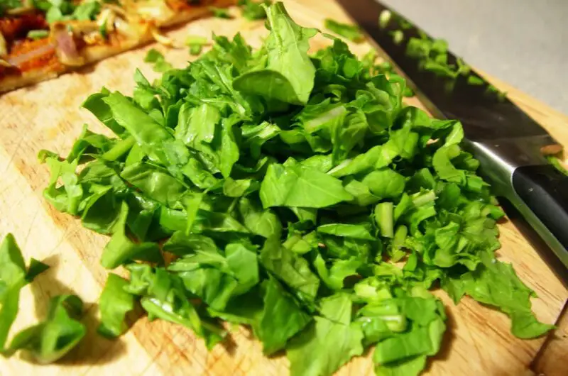 Arugula Recipes