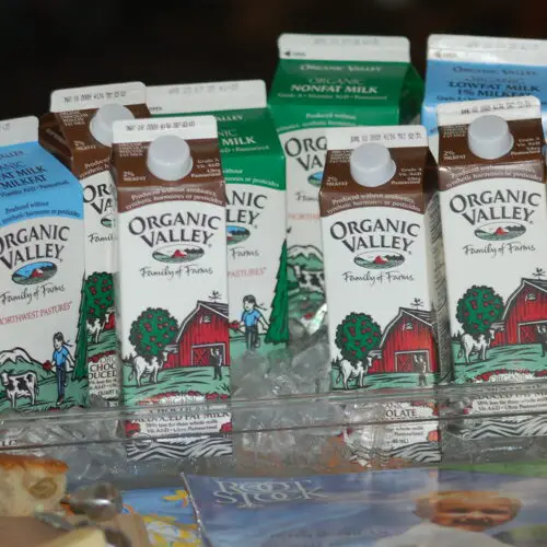 Top Food Brands Committed to Health and Wellness