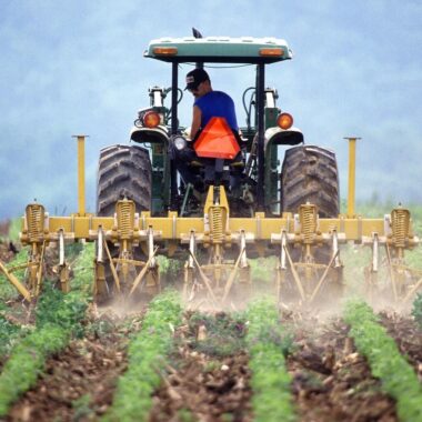 The Best Food Companies Supporting Local Farmers