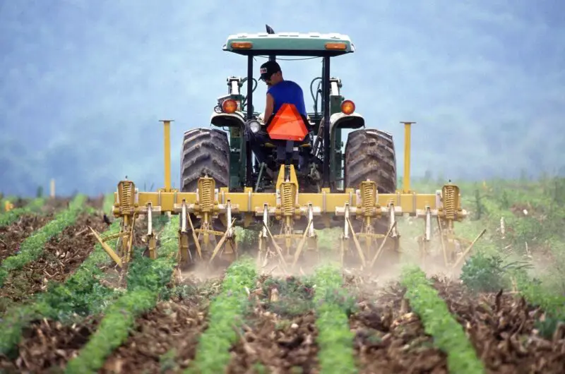 The Best Food Companies Supporting Local Farmers