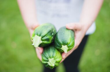 How many types of vegetables are there?