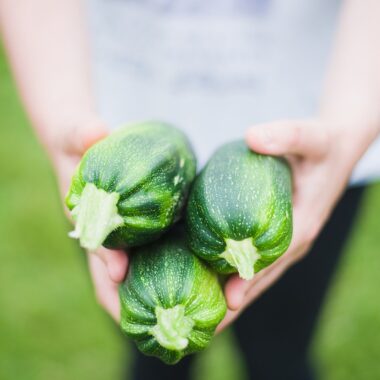 How many types of vegetables are there?
