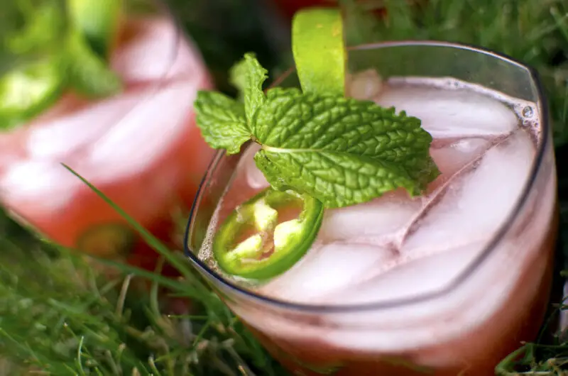 12 Mocktails for a Non-Alcoholic Summer Sip