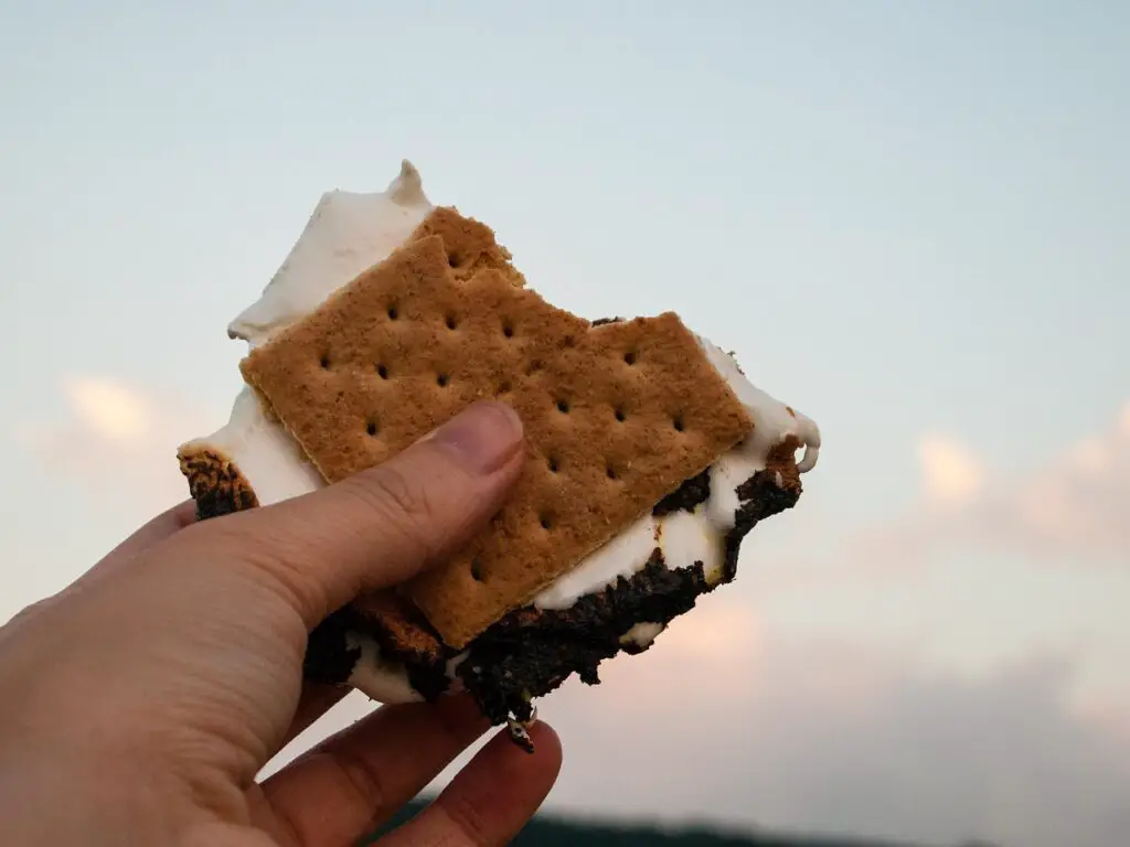10 DIY S'mores Variations You Need to Try