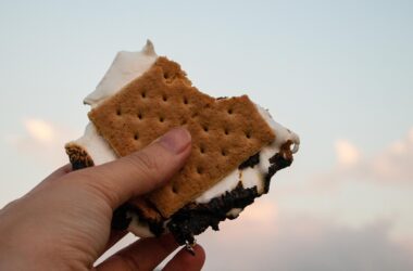10 DIY S'mores Variations You Need to Try