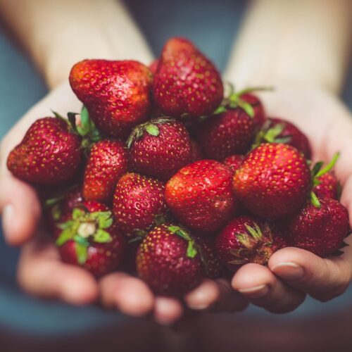 Top 12 Summer Fruits & How to Use Them in Recipes