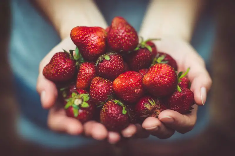 Top 12 Summer Fruits & How to Use Them in Recipes