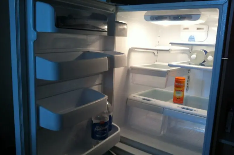 Do Blue Light Filters on Fridges Really Keep Food Fresher?