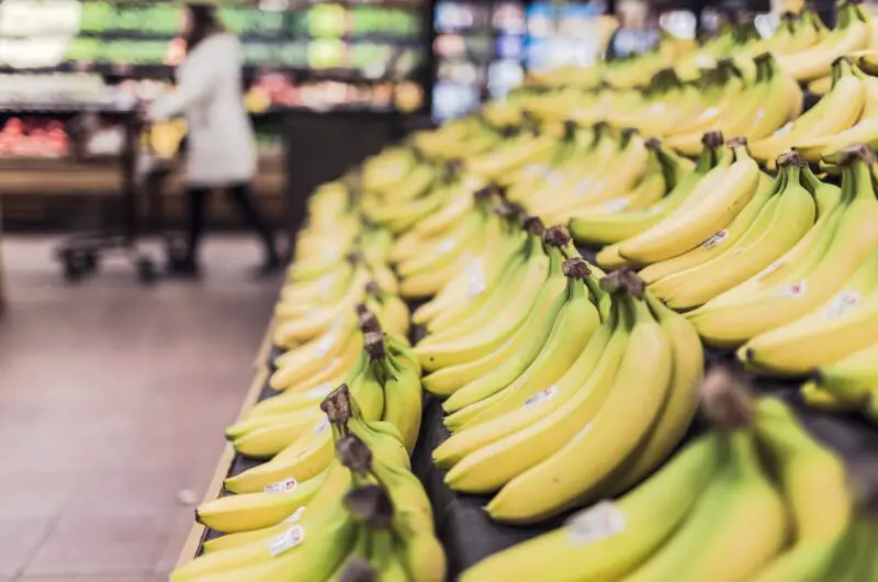 Top 20 Prebiotic Foods You Should Be Eating