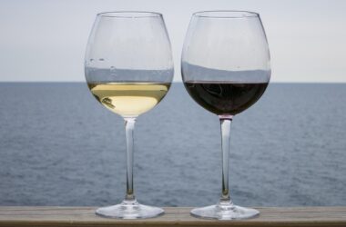How Climate Change Is Reshaping the World’s Wine Regions