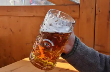 Does Beer Clean Your System? Exploring the Myths and Science