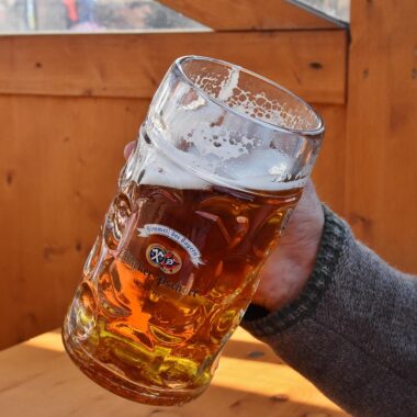 Does Beer Clean Your System? Exploring the Myths and Science