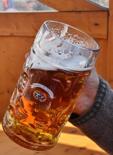 Does Beer Clean Your System? Exploring the Myths and Science