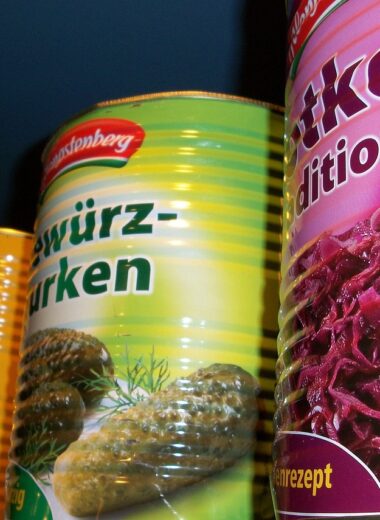 What are examples of processed food?