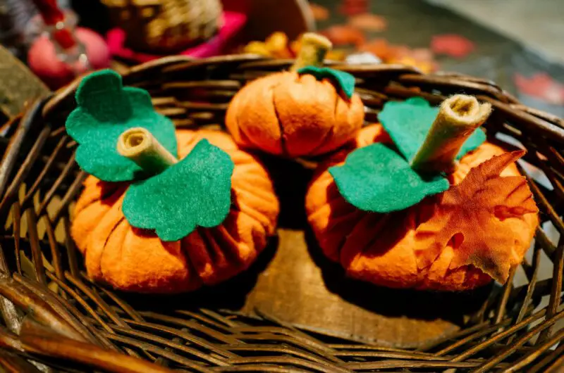 All Treats, No Tricks: Fun and Festive Recipes for Halloween 2025